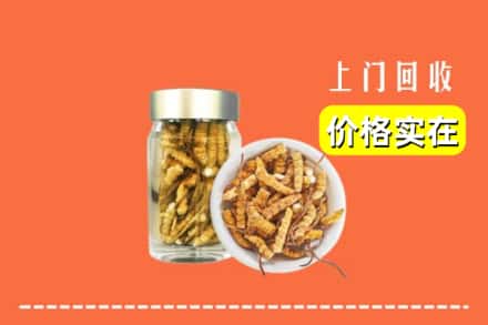 亳州利辛县回收散虫草