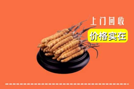 亳州利辛县回收冬虫夏草